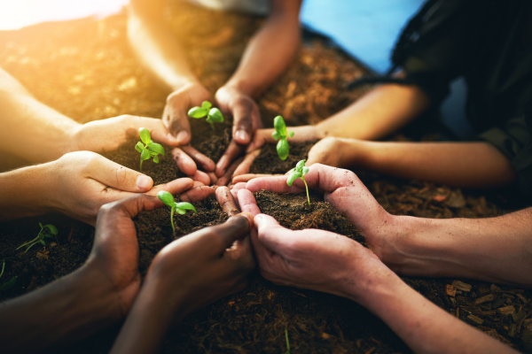 Maternidade sustentável: cultivando o bem-estar do planeta e dos filhos