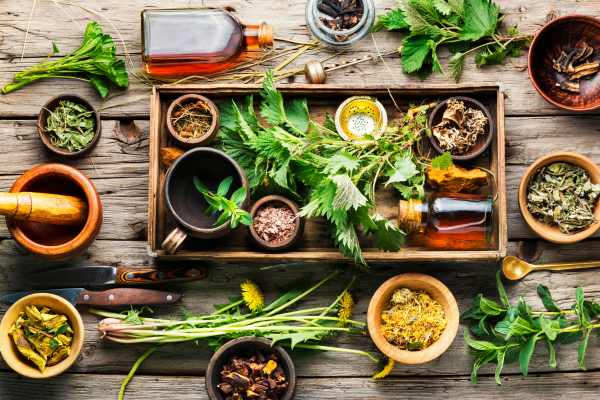 Plantas Medicinais Desvendadas: Terapias Naturais para Uma Vida Plena